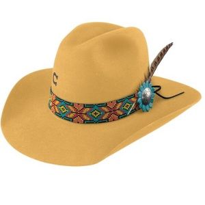 Charlie 1 Horse Gold Digger